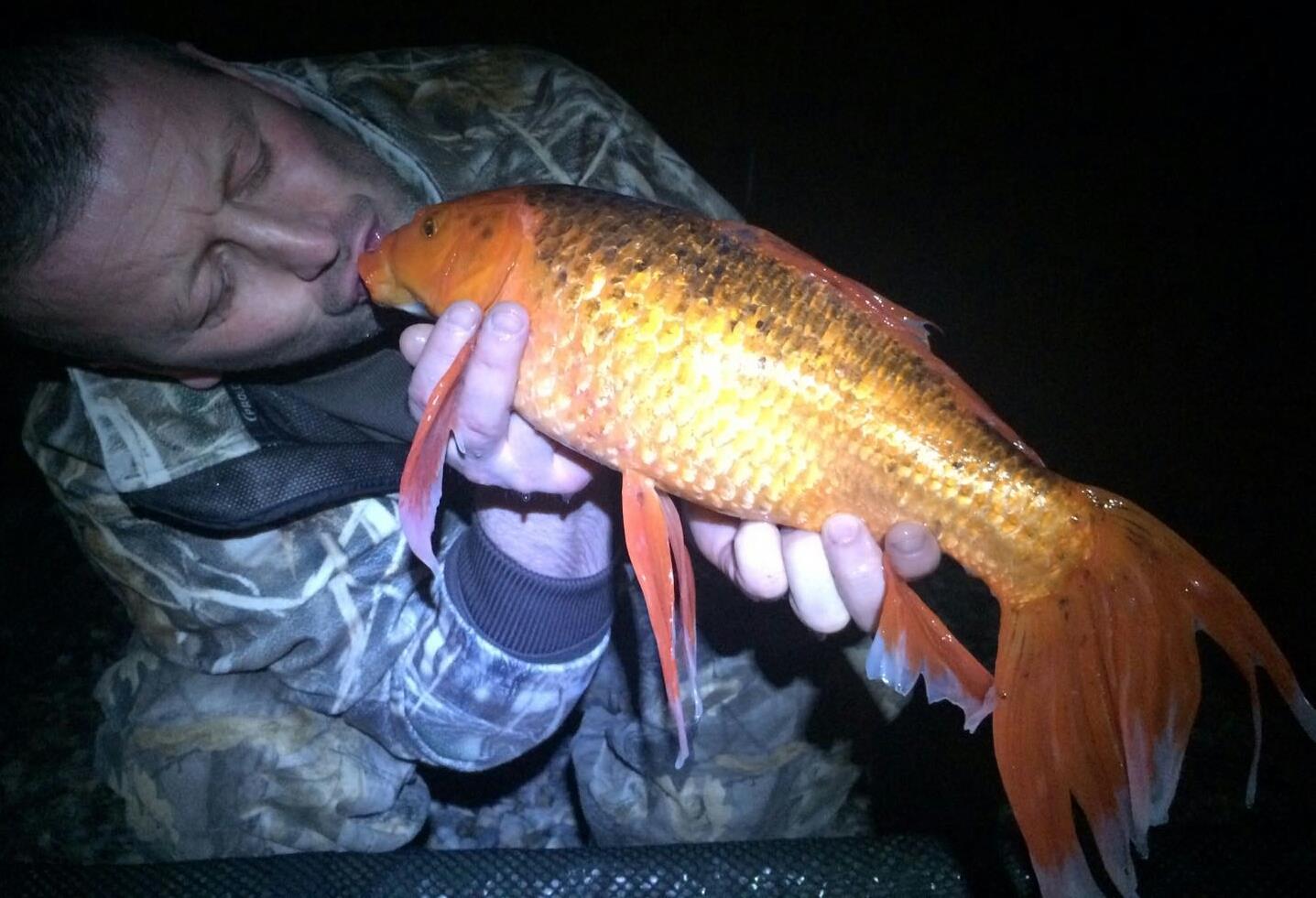 Lago Boschetto 9 - 12 februarie 2017 - img-20170209-wa0004-1.jpg